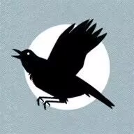 avatar (put avatar.jpg under docs/.vitepress/public/)